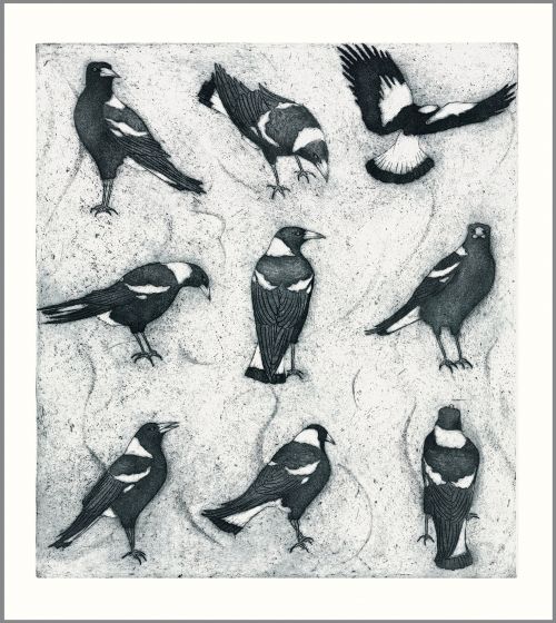 9 Magpies by Joseph Austin.